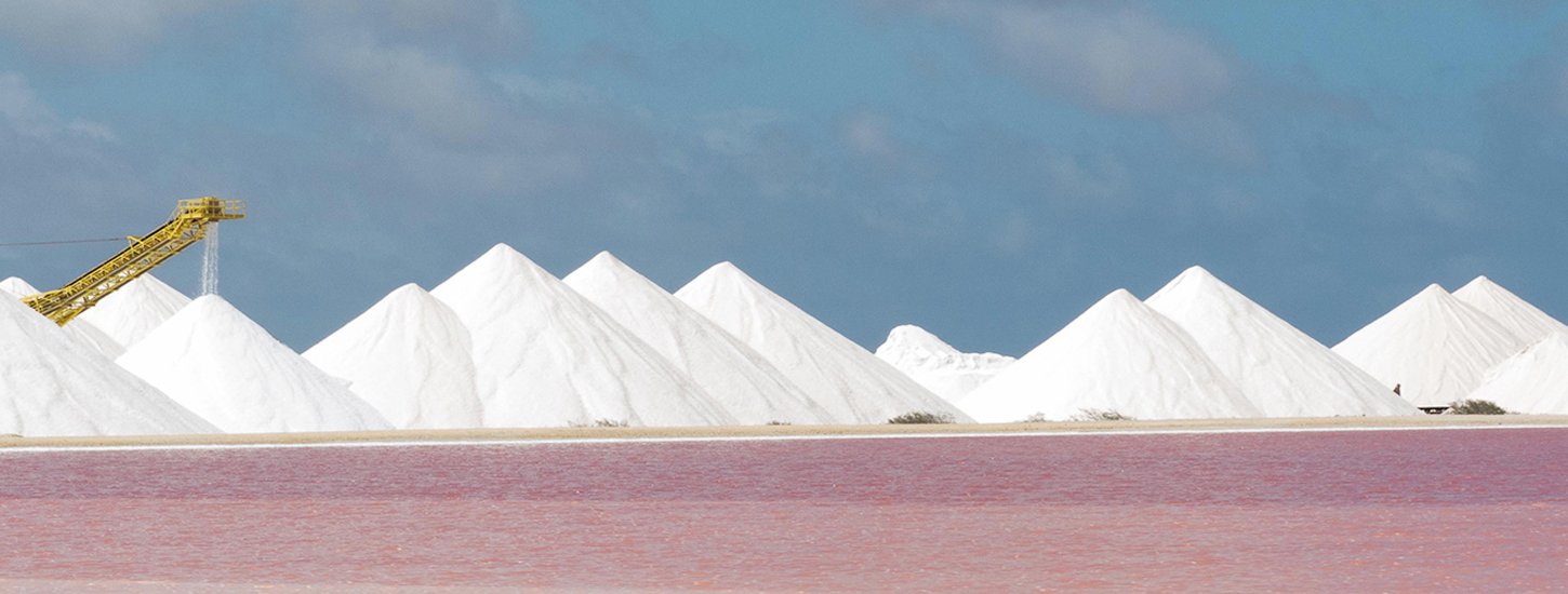 Crystal Salt Industrial salt Rock Salt Suppliers 9080000713