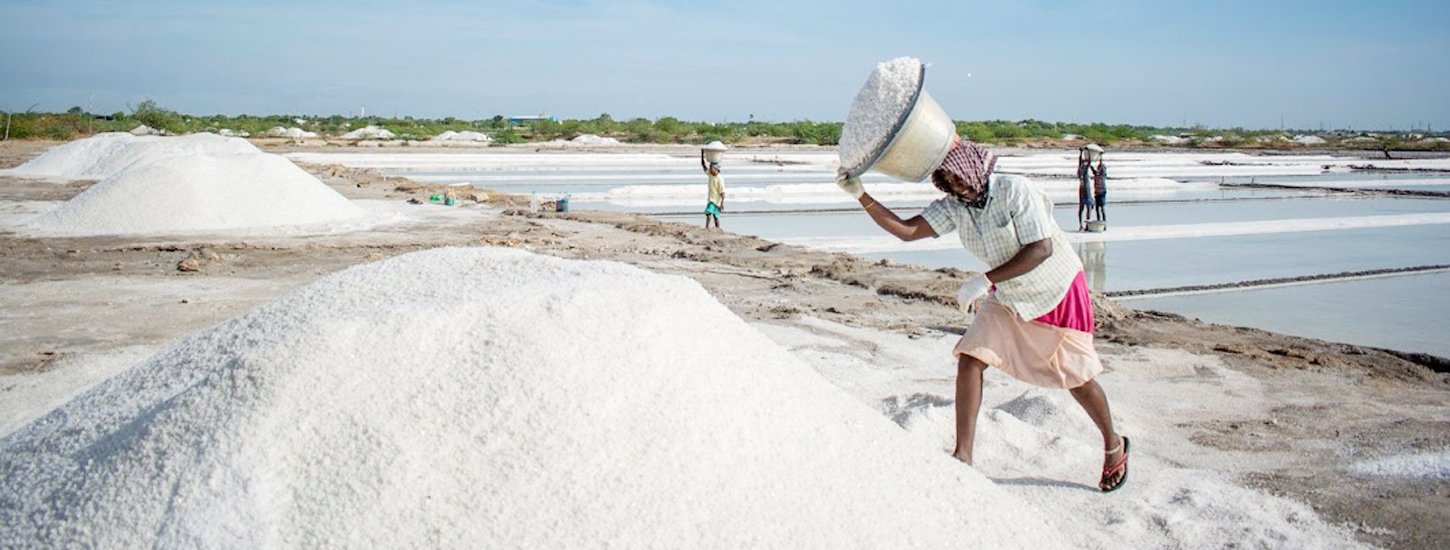 Crystal Salt Industrial salt Rock Salt Suppliers 9080000713